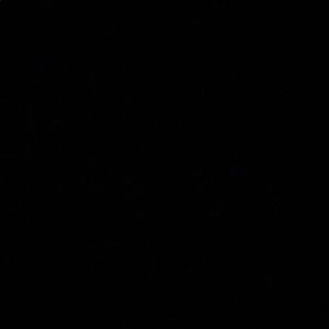 Meet your Posher, Rajveer